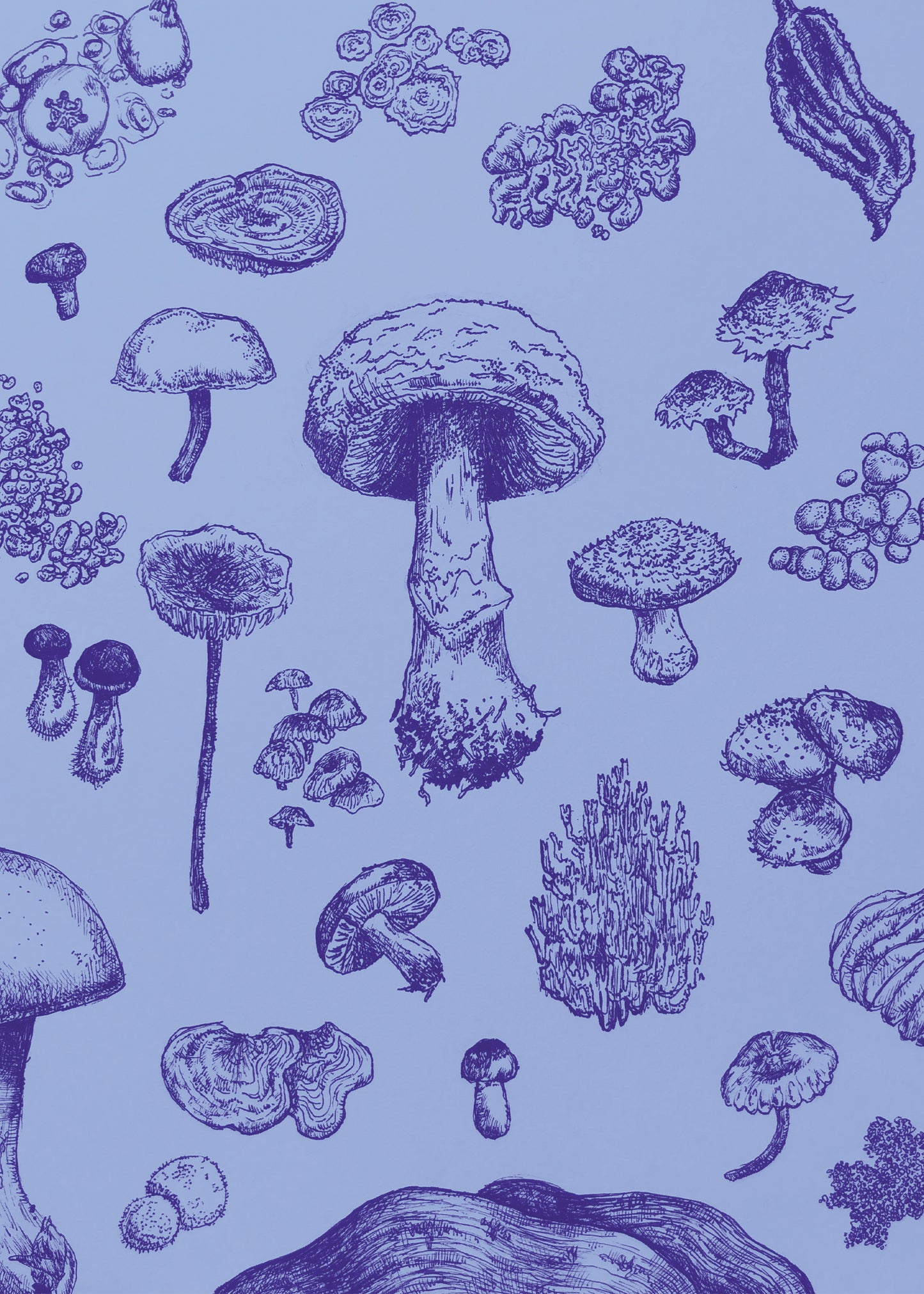 Mushrooms Print