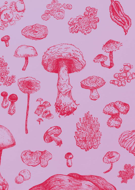 Mushrooms Print